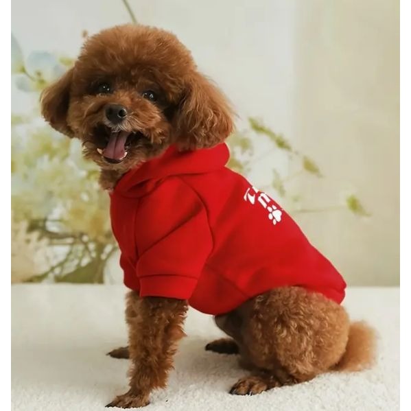 Trouble Make M Pet Dog Hoodie Apparel NWOT